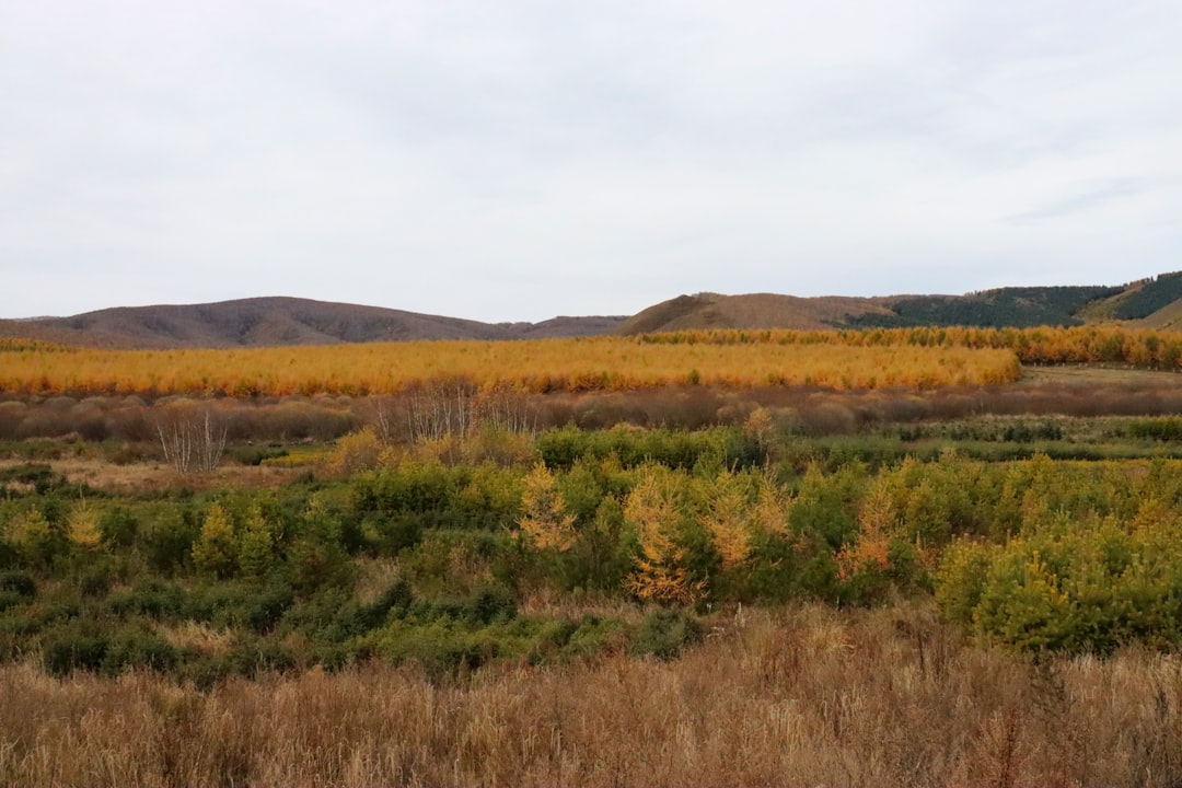 The Thrill of the Great Outdoors: Embracing Adventure Through Travel